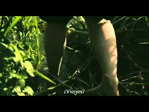 Imagen de previsualización de YouTube