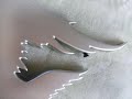 Search Video