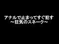 アナルで止まってすぐ犯す　～狂気のスネーク～