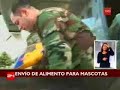 Chaitén: FACh lleva alimentos a mascotas abandonadas
