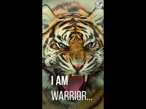 I Am Warrior | Tiger Full Screen Attitude WhatsApp Status