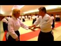 aikido,deadly arts,