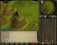 Runescape Deatchmatch