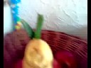 hasenzeit hasenzeit