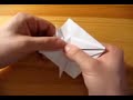 Origami Beetle