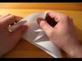 Origami Beetle