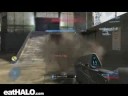 triple noshield