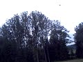 HURRICANE 550 AGUSTA A109 HURRICANE 550 AGUSTA A109