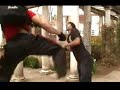 NO-FX Power Juice