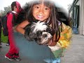 Aryl Desiree Photo Collection