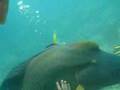 clip video R.A. Fish Divine Time