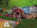 /secondference DVD - Jard�n Educativo - Relife