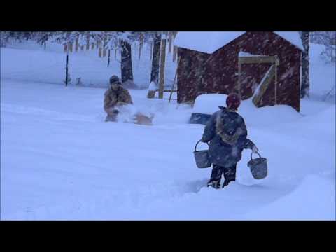 Maine - It's beginning to feel like Groundhog day! It's snowing again, but it's beautiful! 20 inches and counting! Enjoy.