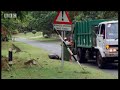 Breaking and entering - Cheeky Monkey - BBC wildlife Breaking and entering - Cheeky Monkey - BBC wildlife