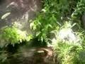 el ojo de talamantes