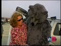 Bear Suit