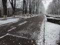 videos de Ninge in Bacau - 22 Noiembrie 2008