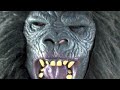 Cadbury Gorilla Advert Parody Taupo Bungy Remix