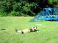 smage trials demo with more crazy kids ...