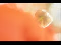 Antonio Vivaldi: Concerto for violoncello, strings & b.c. in A minor (RV 421)