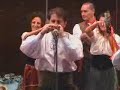 Friscalettu impazzito tarantella siciliana