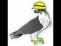 vogelushet.blogspot.com kenge per femije