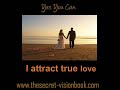 The Secret Law of Attraction - Philip Sigglekow
