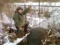 videos de beaver trapping part  1