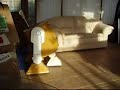 r2-d2 r2 d2 Remote control setup , 1st try