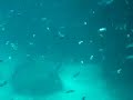 Underwater Stuff