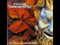 With The Flaming Shades Of Fall - Dark Tranquillity