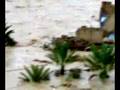 وادي عدم وادي الريان حضرموت كارثة السيول7