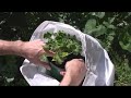 How To Re-Pot a Plant