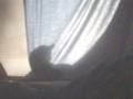 Katze in der Fensterbank