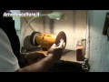 Click to View : Affilatura di scalpelli e sgorbie