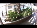 Spot Check: 7-Eleven Planter Box