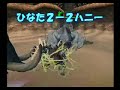 MH2?? ?????? MH2?? ??????
