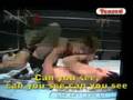 Hybrid Wresting