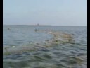 Mercoled� 13 agosto 2008 la pesca a piedi (1)