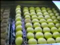 Automatic frying lines for krapfen, Berliner, doughnuts