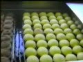 Automatic frying lines for krapfen, Berliner, doughnuts