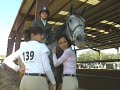 Blair - well started, quiet hunter/jumper pony