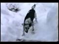 How to keep your dog safe in the snow