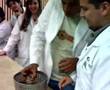 Patricia, Denisse, Renato y Anamari agarran el sapo