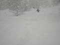 videos de rothwald fuoripista