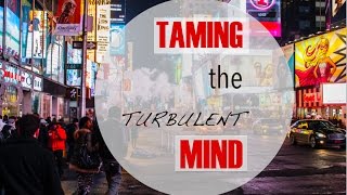 Taming the Turbulent Mind