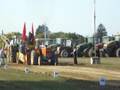 videos de fast pulling budrio 2008