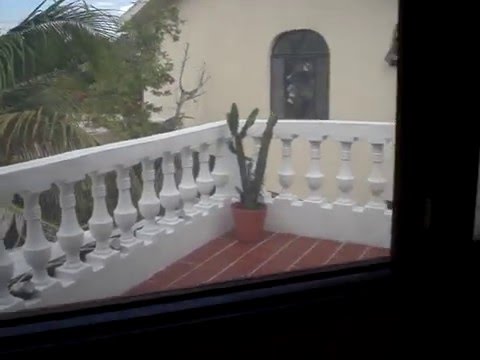 Vidéo sur Beachouse Dive Hostel Cozumel