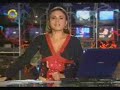 Reportaje marcha oficialista