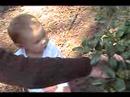 Carlysle hunting eggs